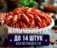 Рак гигант "Маныч"