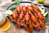 Пивная поляна 