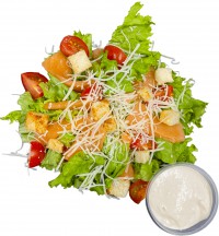 Цезарь с лососем