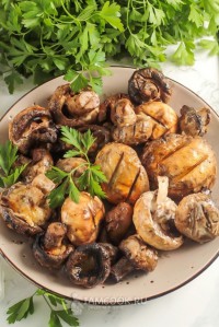 Грибы на магале